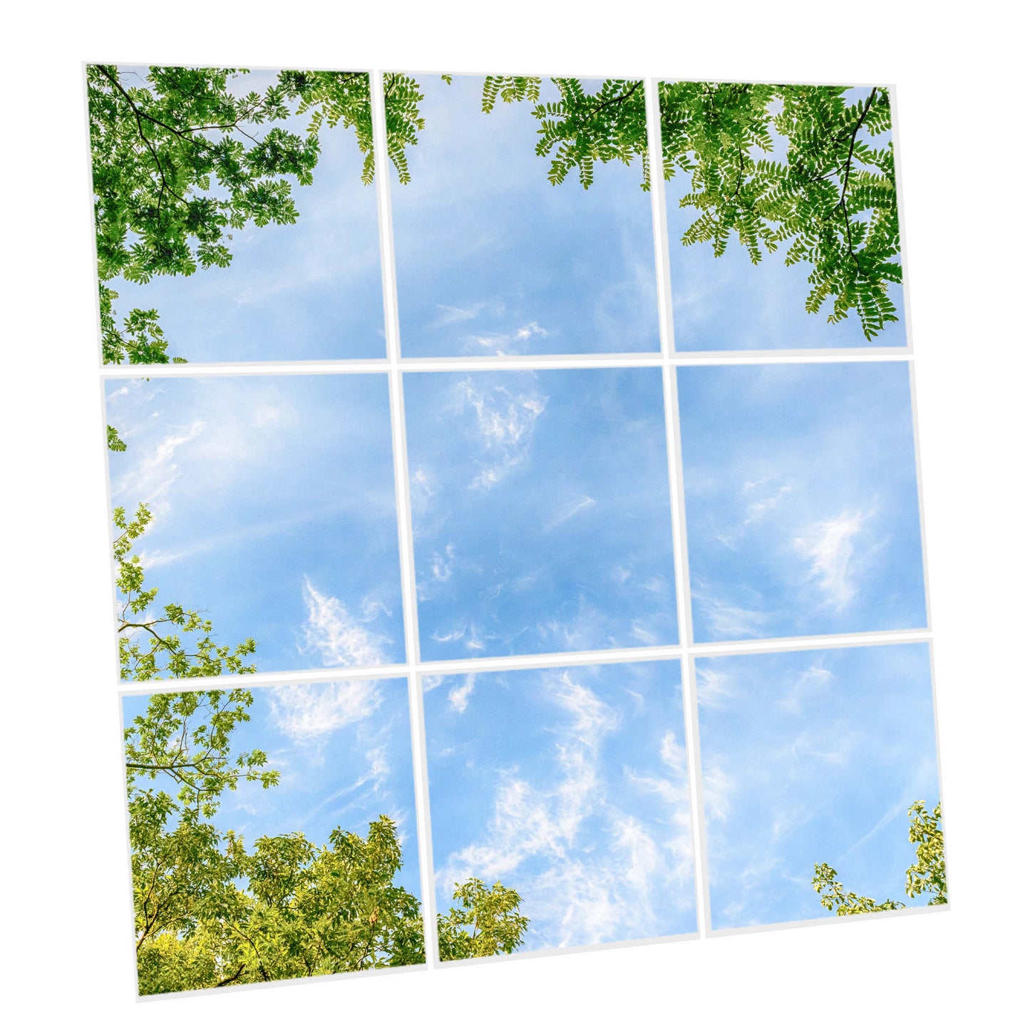 Pack 9 Dalles LED 60x60cm - Verrière Intégrale - Éclairage en Trompe-l'œil - "Horizon Arboré"
