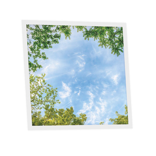 Dalle LED 60x60cm - Puits de Lumière - Éclairage en Trompe-l'œil - "Horizon Arboré"