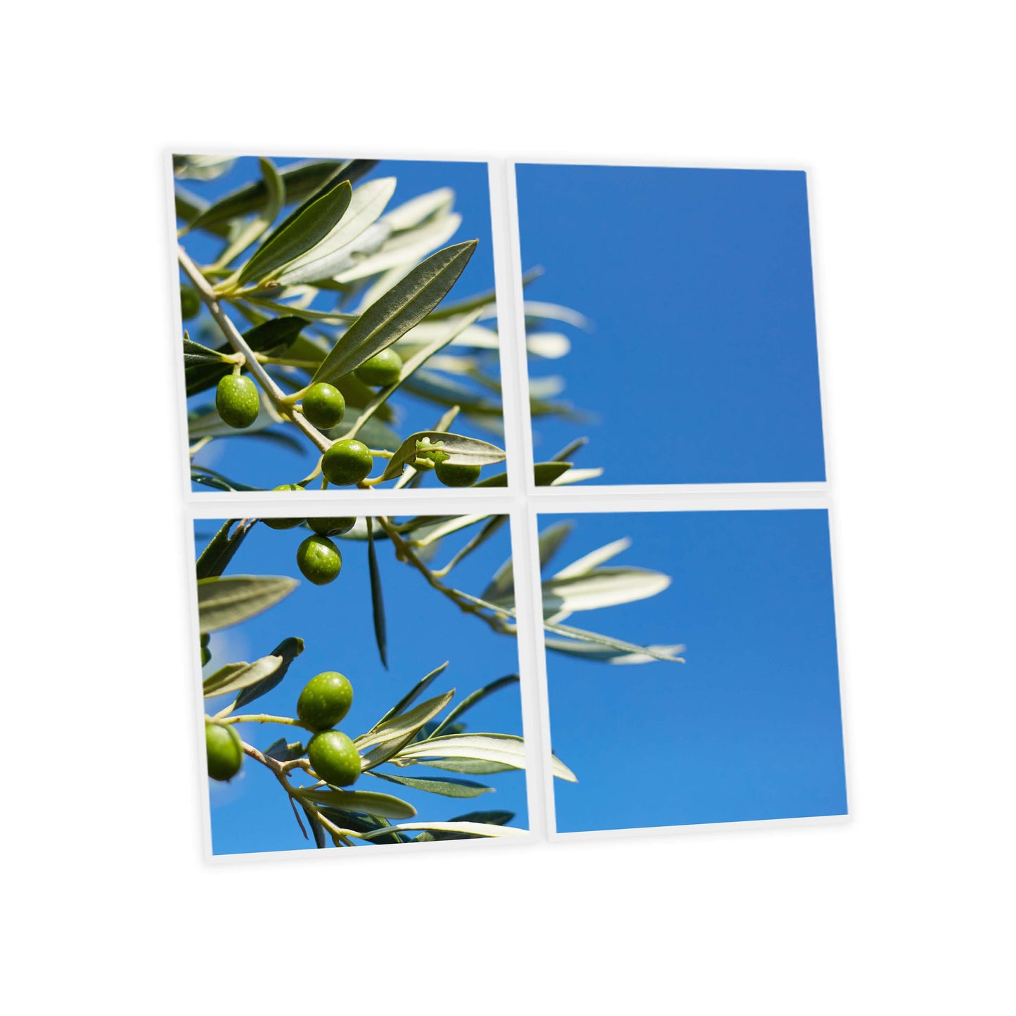 Pack 4 Dalles LED 60x60cm - Puits de Lumière XXL - Éclairage en Trompe-l'œil - "Parfum d'Oliviers"