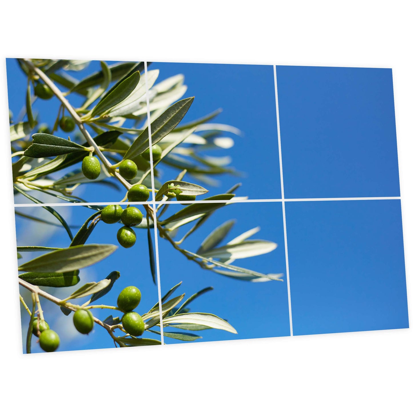 Pack 6 Dalles LED 60x60cm - Plafond Visuel - Éclairage en Trompe-l'œil - "Parfum d'Oliviers"