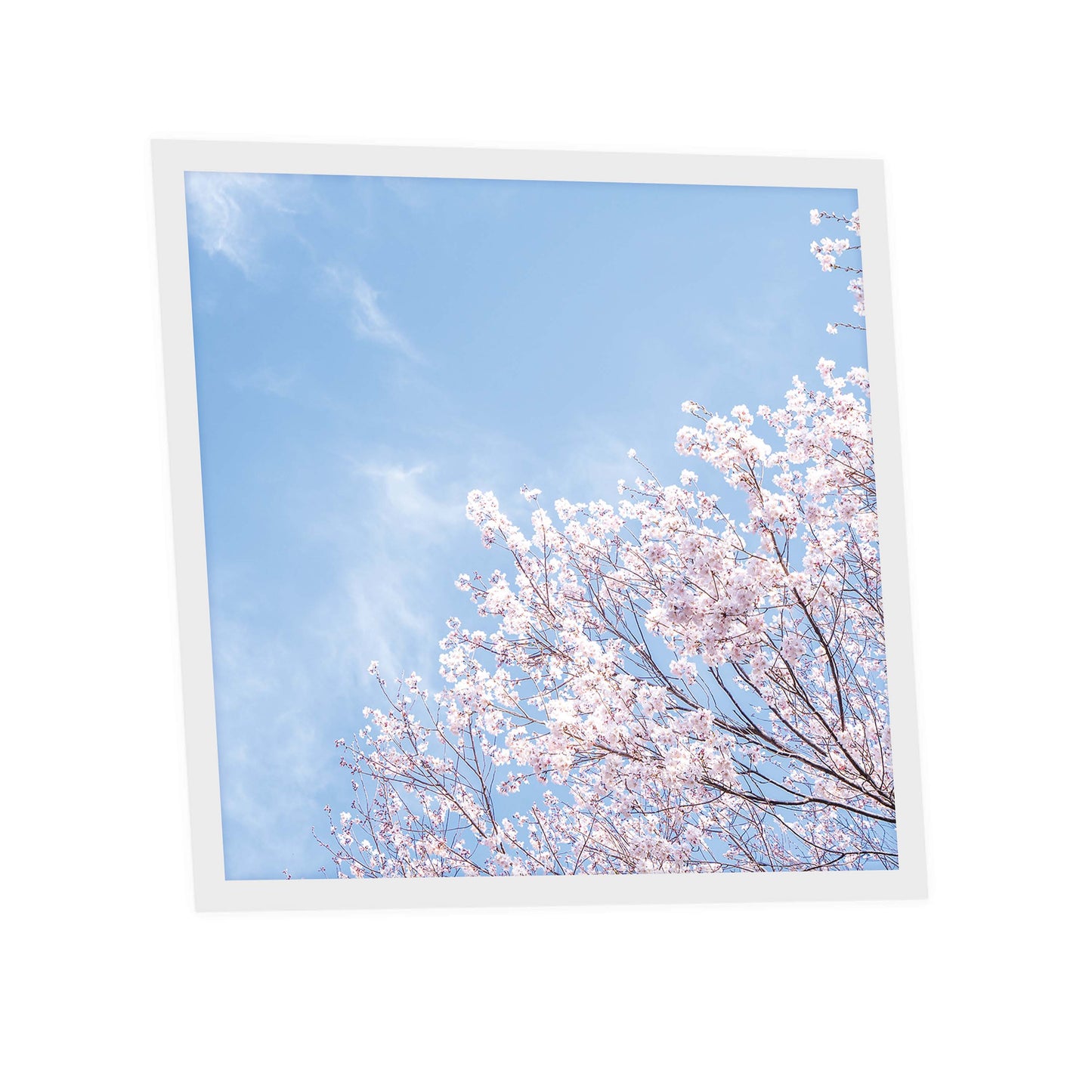 Pack de 1 dalle imprimée 60x60 Nuances Roses