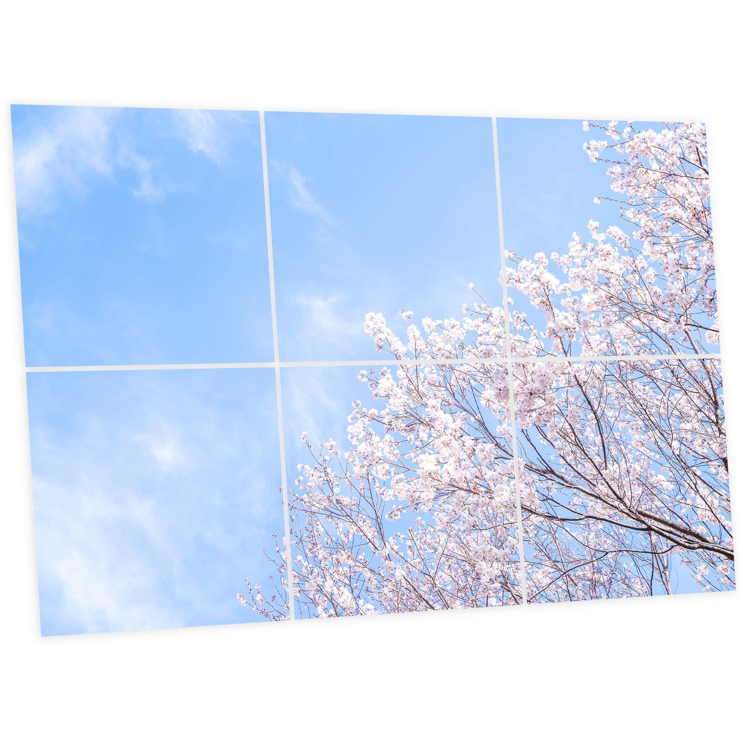 Pack de 6 dalles imprimées 60x60 Nuances Roses