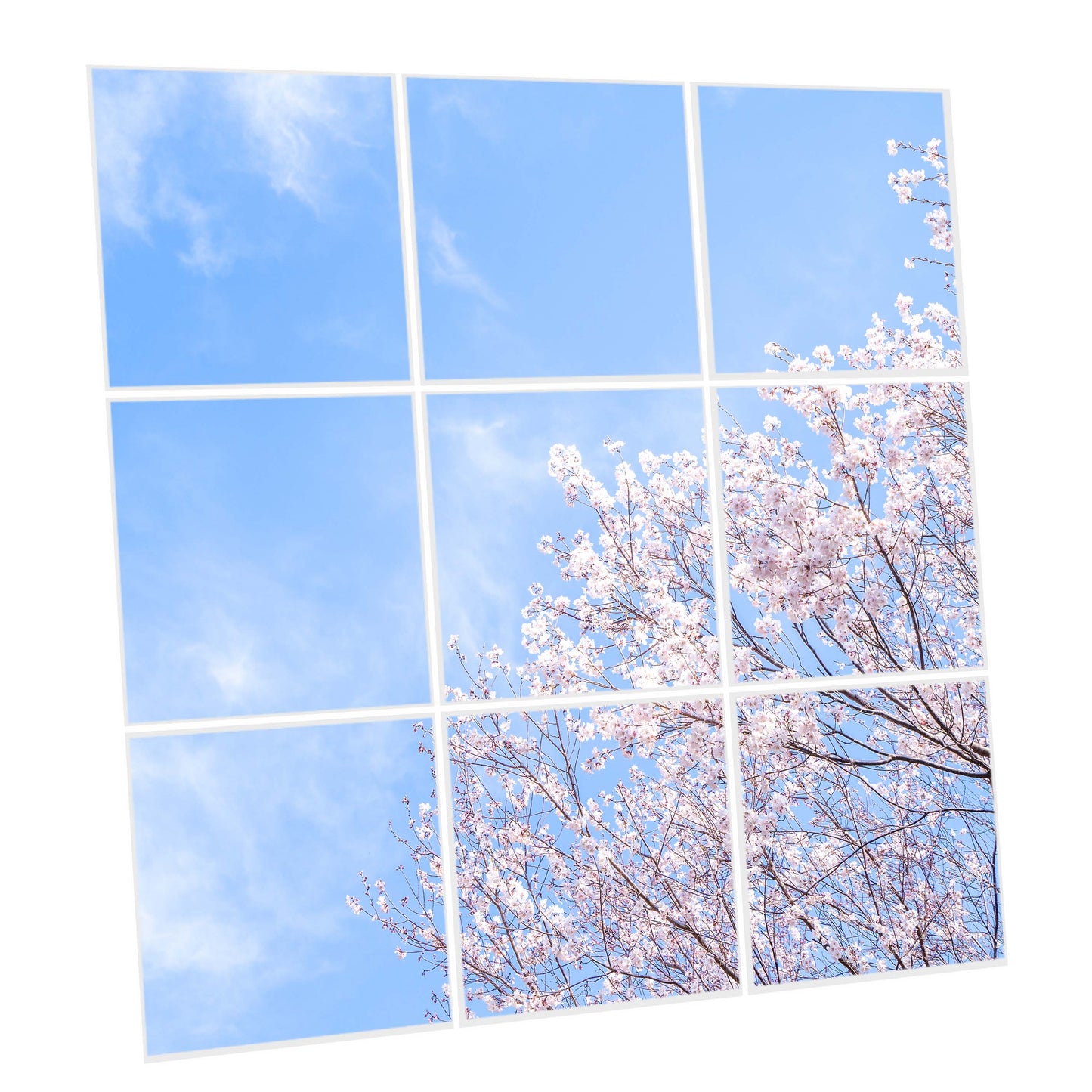 Pack 9 Dalles LED 60x60cm - Verrière Intégrale - Éclairage en Trompe-l'œil - "Nuances Roses"