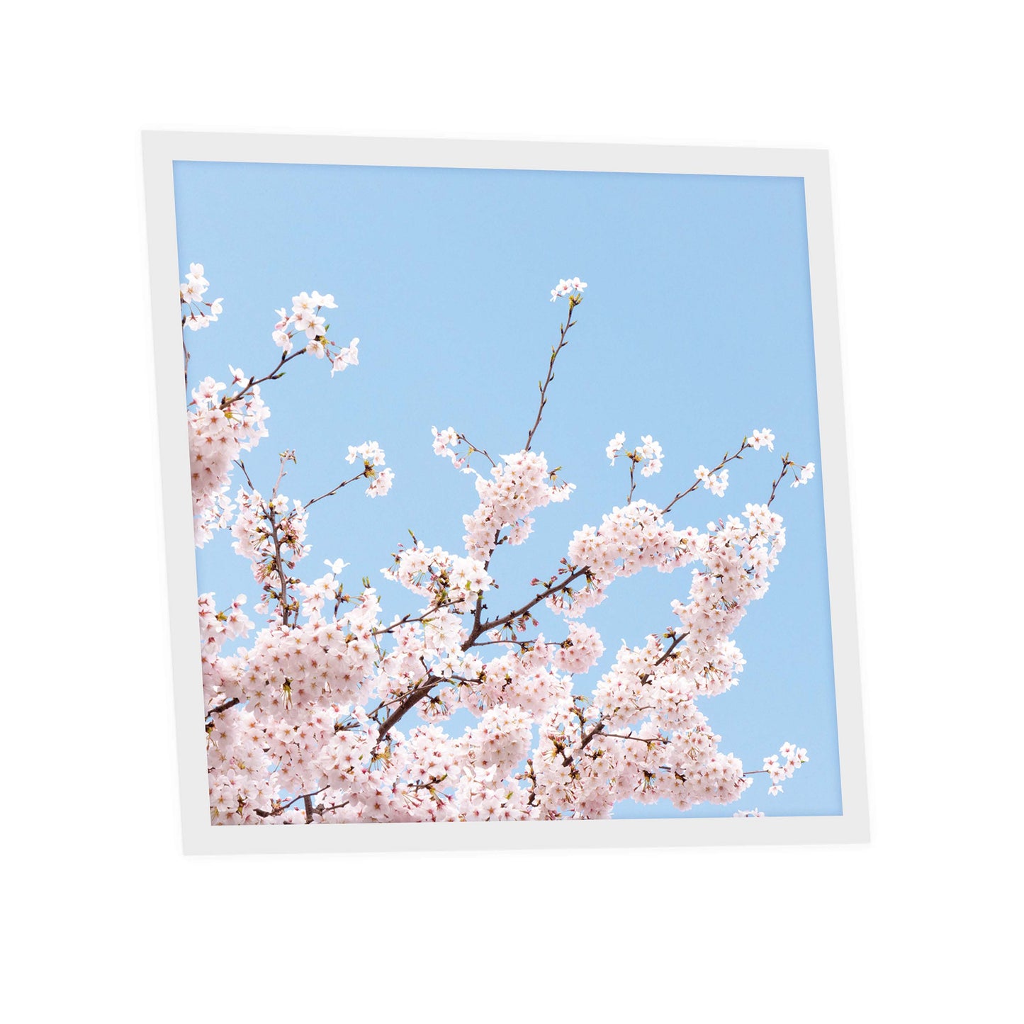 Dalle LED 60x60cm - Puits de Lumière - Éclairage en Trompe-l'œil - "Fleurs de Ciel"