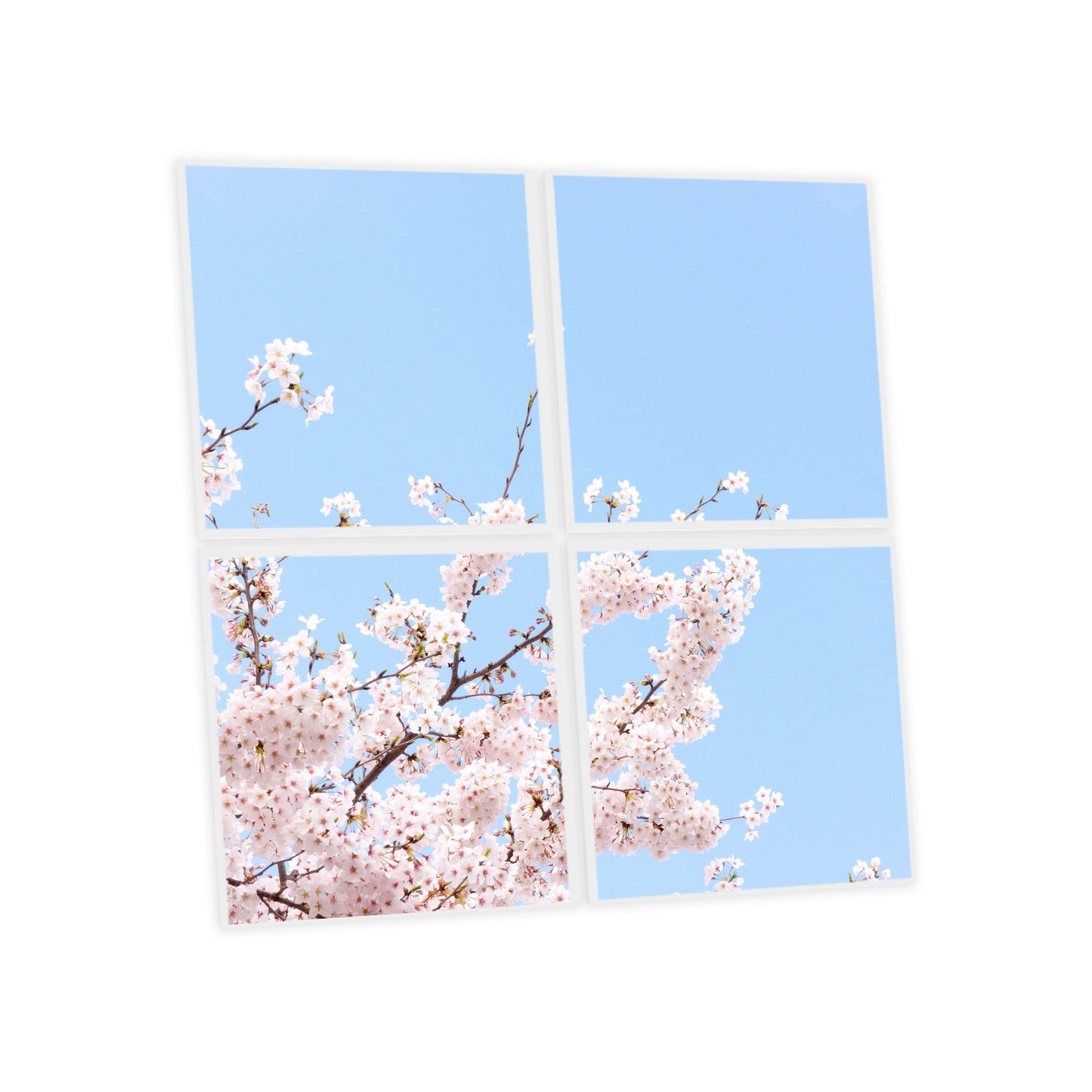 Pack de 4 dalles imprimées 60x60 Fleurs de Ciel