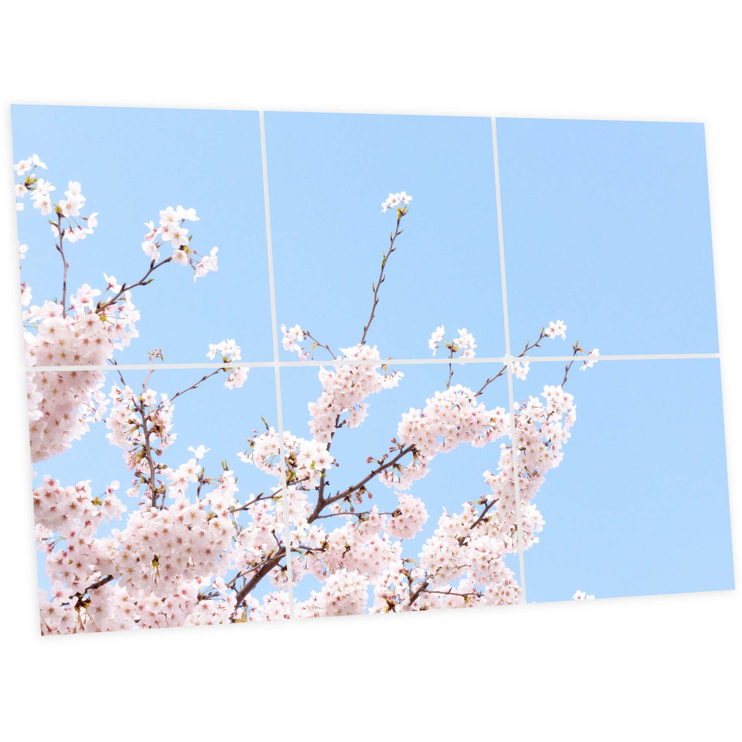 Pack 6 Dalles LED 60x60cm - Plafond Visuel - Éclairage en Trompe-l'œil - "Fleurs de Ciel"