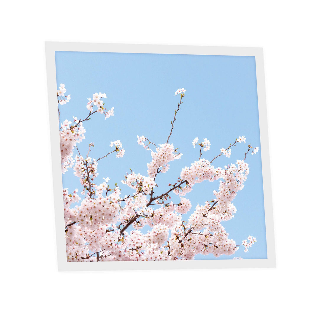 Dalles LED imprimées vs dalles LED blanches  quelle différence ? | Dalles LED SunshinePanel