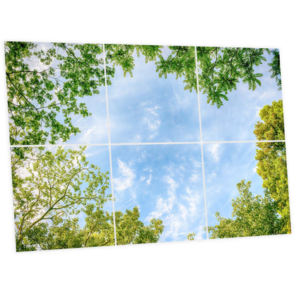 Pack 6 Dalles LED 60x60cm - Plafond Visuel - Éclairage en Trompe-l'œil - "Horizon Arboré"