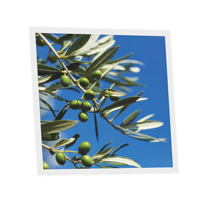 Dalle LED 60x60cm - Puits de Lumière - Éclairage en Trompe-l'œil - "Parfum d'Oliviers"