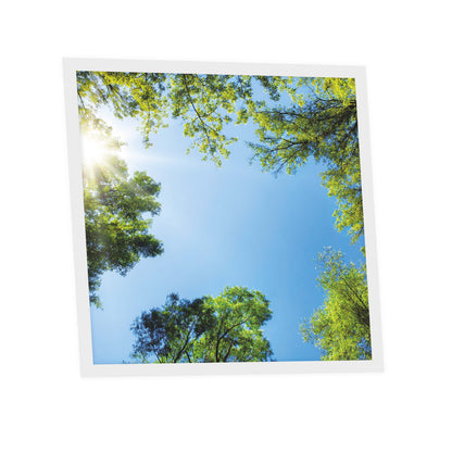 Dalle LED 60x60cm - Puits de Lumière - Éclairage en Trompe-l'œil - "Mystère Forestier"