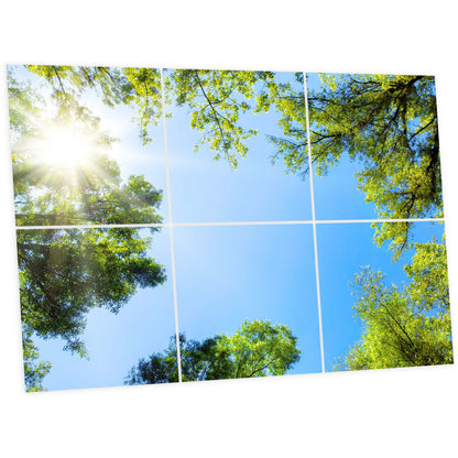 Pack 6 Dalles LED 60x60cm - Plafond Visuel - Éclairage en Trompe-l'œil - "Mystère Forestier"