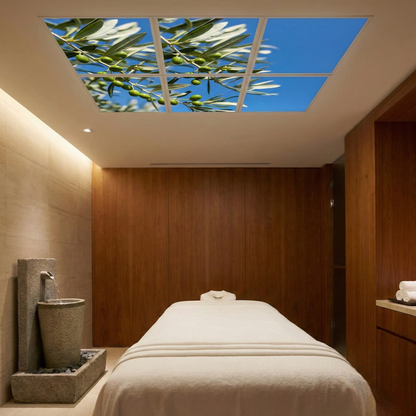 Pack 4 Dalles LED 60x60cm - Puits de Lumière XXL - Éclairage en Trompe-l'œil - "Parfum d'Oliviers"