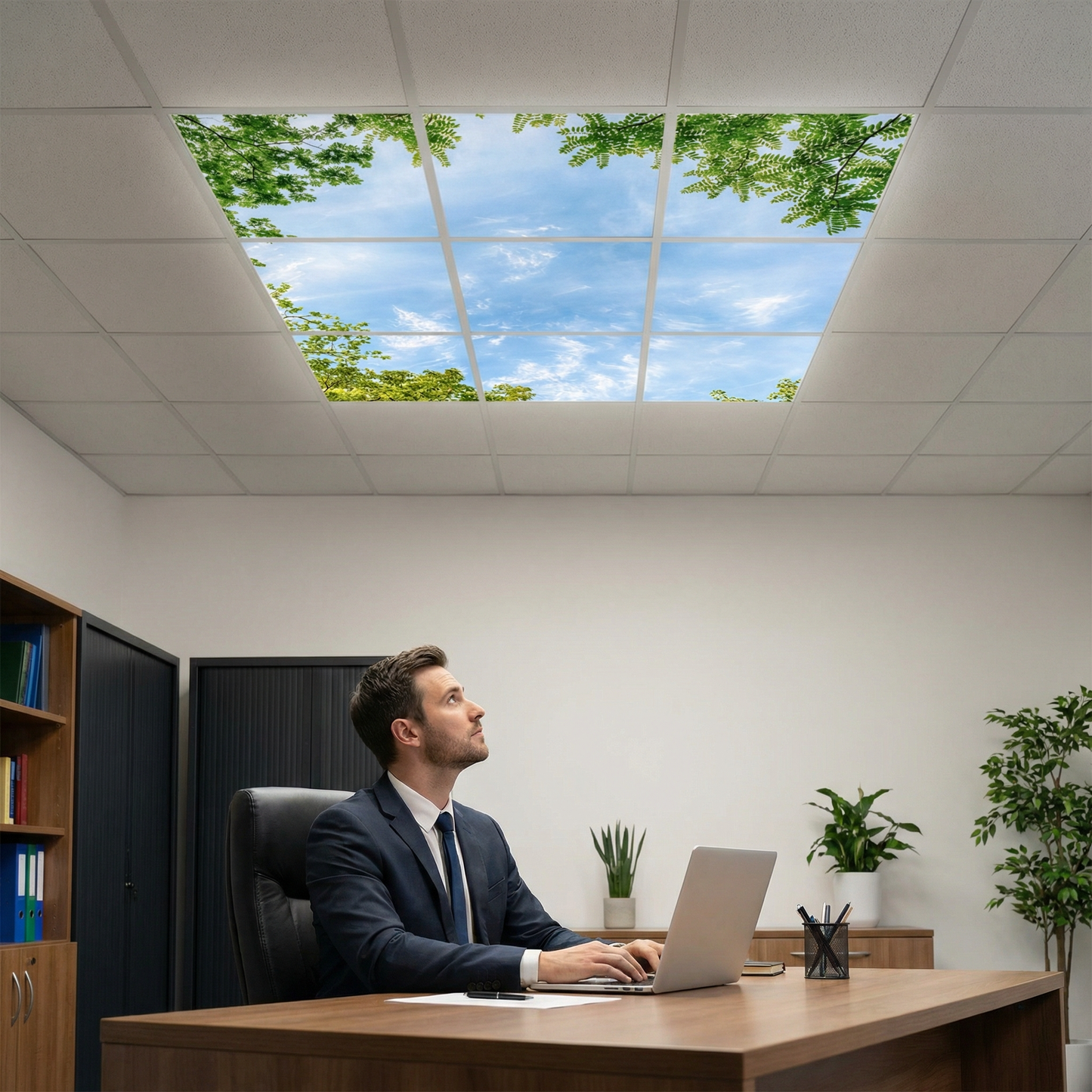 Pack 9 Dalles LED 60x60cm - Verrière Intégrale - Éclairage en Trompe-l'œil - "Horizon Arboré"