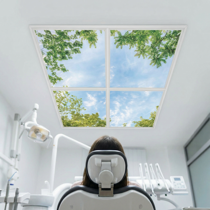 Pack 4 Dalles LED 60x60cm - Puits de Lumière XXL - Éclairage en Trompe-l'œil - "Horizon Arboré"