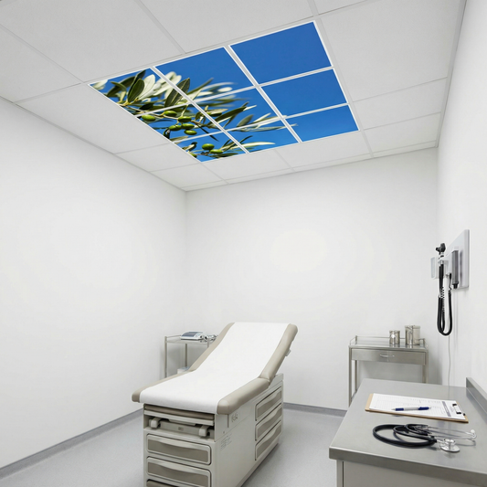 Pack 9 Dalles LED 60x60cm - Verrière Intégrale - Éclairage en Trompe-l'œil - "Parfum d'Oliviers"