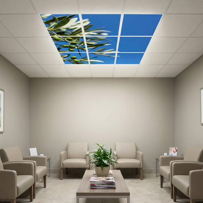 Pack 9 Dalles LED 60x60cm - Verrière Intégrale - Éclairage en Trompe-l'œil - "Parfum d'Oliviers"