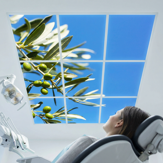 Pack 9 Dalles LED 60x60cm - Verrière Intégrale - Éclairage en Trompe-l'œil - "Parfum d'Oliviers"
