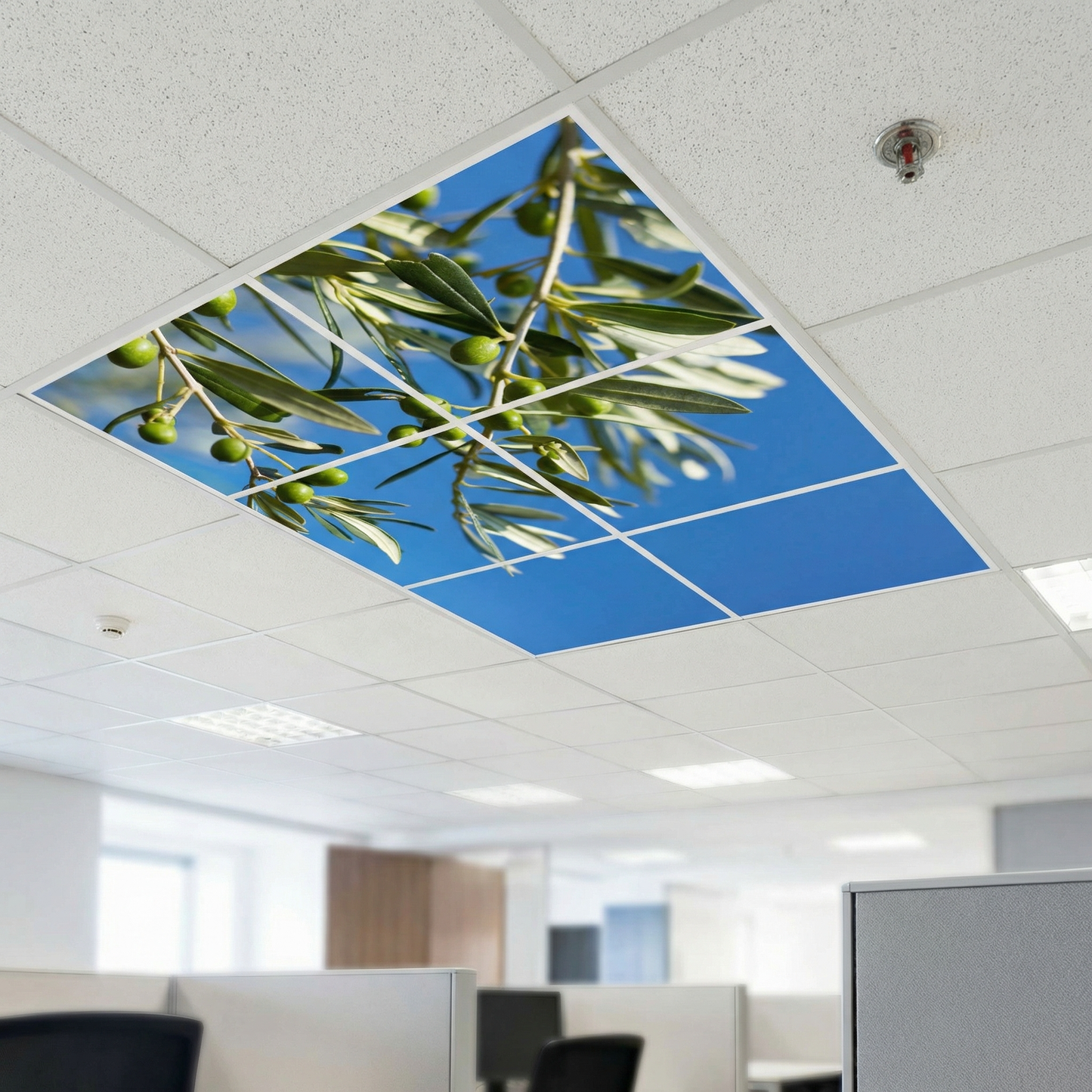 Pack 6 Dalles LED 60x60cm - Plafond Visuel - Éclairage en Trompe-l'œil - "Parfum d'Oliviers"