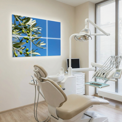 Pack 6 Dalles LED 60x60cm - Plafond Visuel - Éclairage en Trompe-l'œil - "Parfum d'Oliviers"