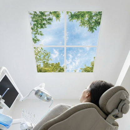 SunshinePanel Pack 4 Dalles LED Horizon Arbor� 60�60 cm - 1,44 m� Plafond Lumineux, vue arriere et connectique