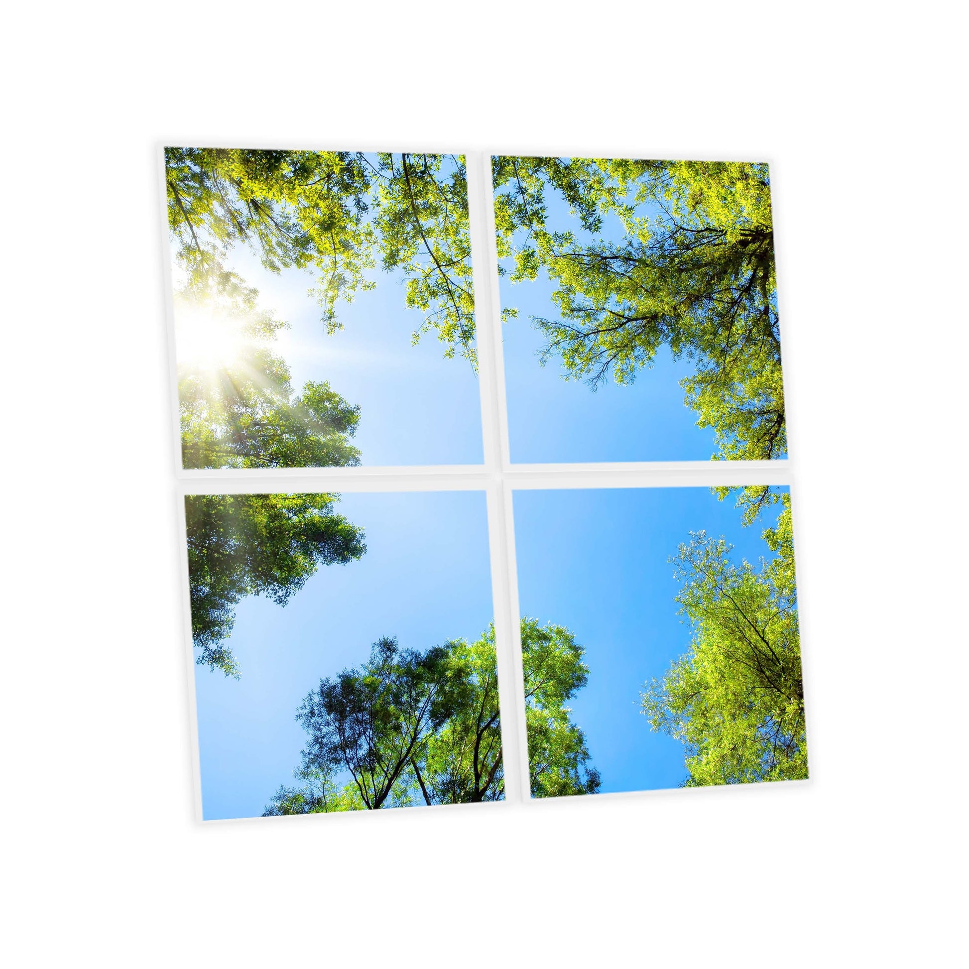 SunshinePanel Pack 4 Dalles LED Myst�re Forestier 60�60 cm - 1,44 m� Plafond Lumineux, detail LED et diffuseur PMMA