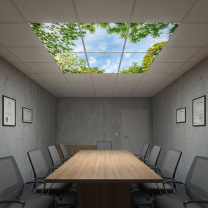SunshinePanel Pack 6 Dalles LED Horizon Arbor� 60�60 cm - 2,16 m� Verri�re LED, vue arriere et connectique
