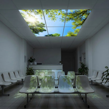 SunshinePanel Pack 6 Dalles LED Myst�re Forestier 60�60 cm - 2,16 m� Verri�re LED, detail LED et diffuseur PMMA