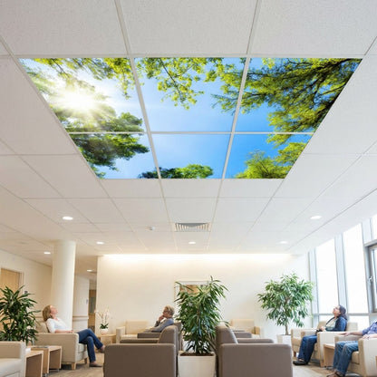 SunshinePanel Pack 6 Dalles LED Myst�re Forestier 60�60 cm - 2,16 m� Verri�re LED, installation en faux plafond