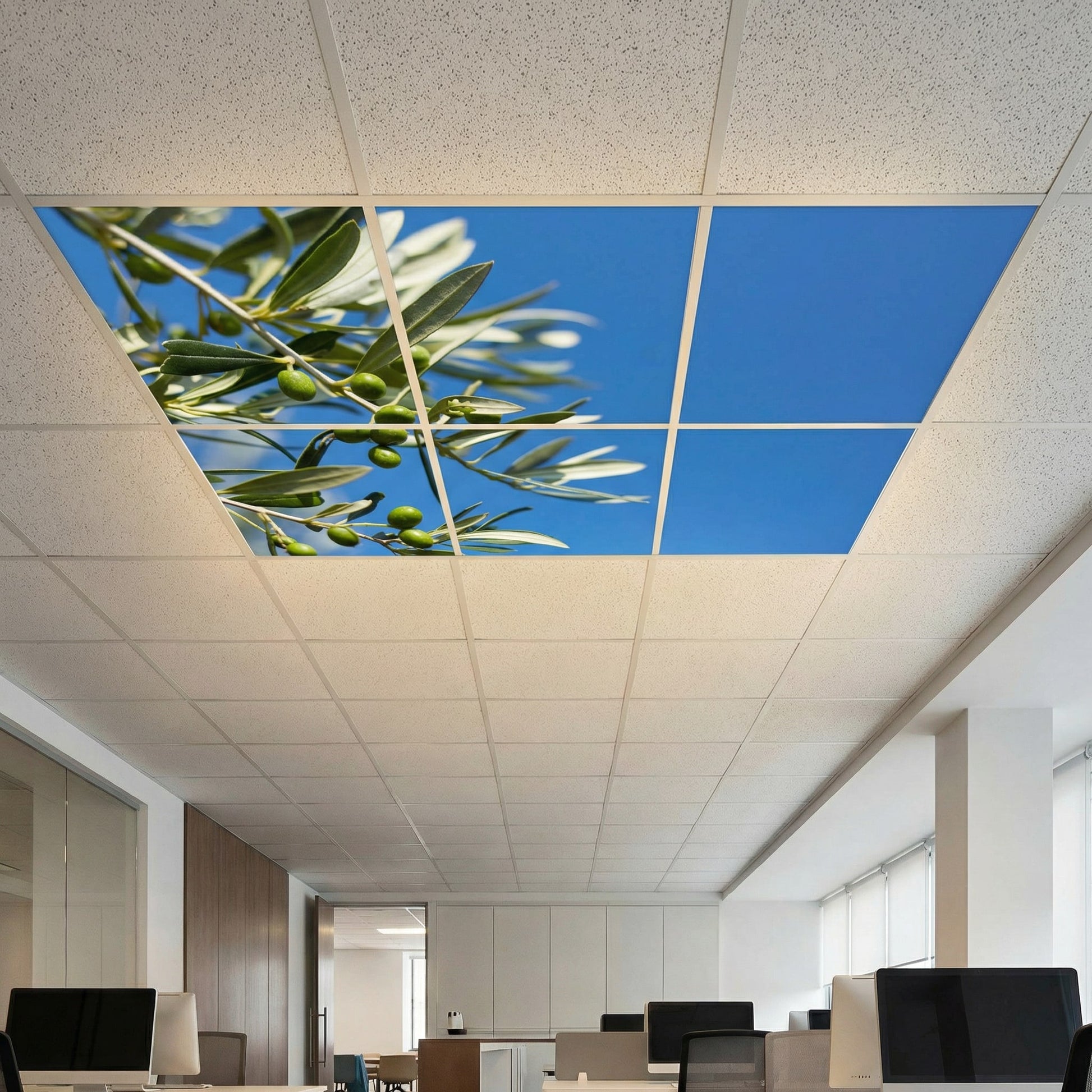 SunshinePanel Pack 6 Dalles LED Parfum d'Oliviers 60�60 cm - 2,16 m� Verri�re LED, vue arriere et connectique