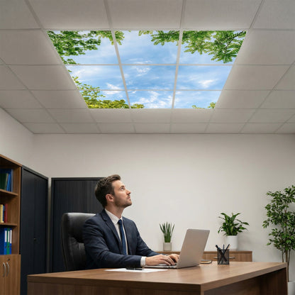 SunshinePanel Pack 9 Dalles LED Horizon Arbor� 60�60 cm - 3,24 m� Plafond Complet, vue arriere et connectique