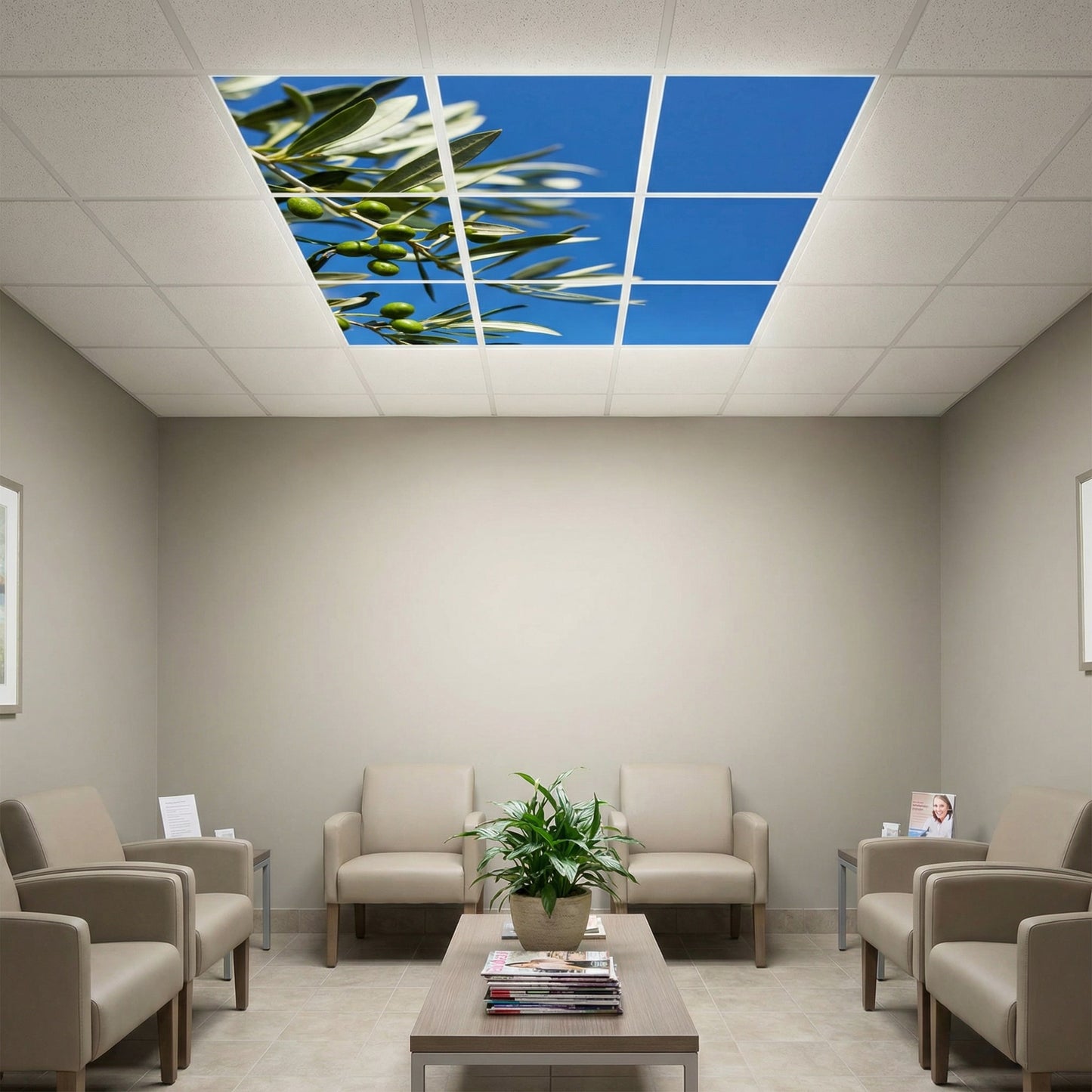 SunshinePanel Pack 9 Dalles LED Parfum d'Oliviers 60�60 cm - 3,24 m� Plafond Complet, installation en faux plafond