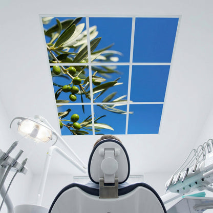SunshinePanel Pack 9 Dalles LED Parfum d'Oliviers 60�60 cm - 3,24 m� Plafond Complet, rendu pack vue ensemble